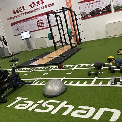 19 ملم مصورة العشب الاصطناعي الخط الأبيض للملاعب الرياضية ملاعب الملاعب التجارية