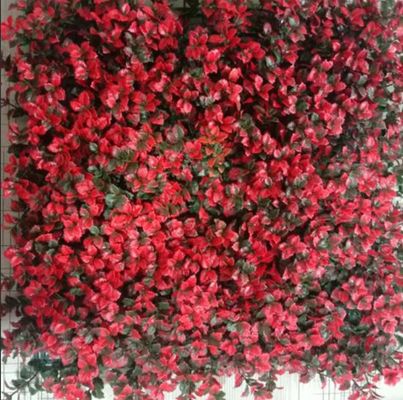 جودة  Artificial Wall Grass Natural Looking Low Maintenance Solution For Indoor Outdoor Spaces مصنع