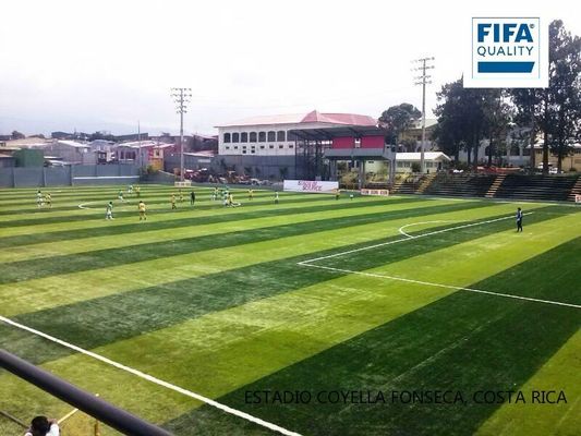 عشب صناعي عالي الكثافة بارتفاع 55 مم معتمد من FIFA لملاعب كرة القدم ذات الصيانة المنخفضة