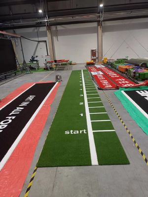 16mm Pile Height Sled Turf with Customized Color Pattern and UV Resistance for Gym Fitness