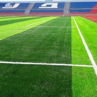 وافق FIFA على العشب الاصطناعي لكرة القدم المقاوم للأشعة فوق البنفسجية بقطر 50 مم مع كثافة عالية وصيانة منخفضة