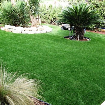 30MM العشب الصناعي الخضراء غير المملوءة المستخدمة للحيوانات الأليفة منطقة أو حدائق السطح مع مقاومة الأشعة فوق البنفسجية والمرونة الجيدة
