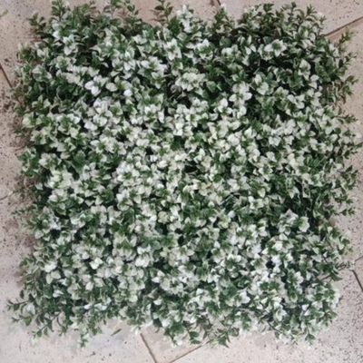 50 سم * 50 سم عشب أخضر مزيف الحائط حجم PE مخصصة