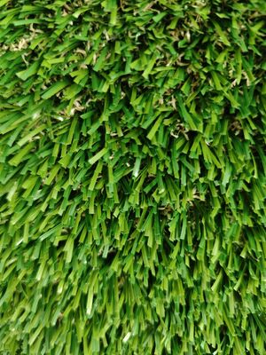 غير ملئ العشب الاصطناعي الأخضر الشفاف اللاتكس 30mm مادة PE&PP الرمل القليل الحاجات الثقوب الصرف الصحي