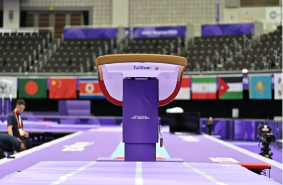 IWUF Certified Wushu Mat and Sports Equipment for Multi-Sport Application with 12000mm × 18000mm × 90mm Size
