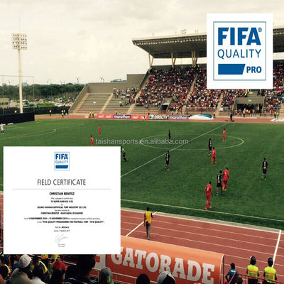 العشب الصناعي لكرة القدم الخضراء مقاس 5/8 بوصة مع دعم PP + LENO و SBR اللاتكس الطلاء اللاصق