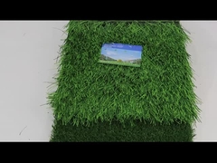 العشب الصناعي لكرة القدم