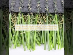 الصناعة السنوية القدرة العشب الاصطناعي في العشب الاصطناعي أهم خيار العشب الرياضي للملاعب