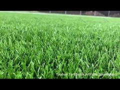 مشروع تايشان الجديد في بليز للعشب الرياضي الاصطناعي