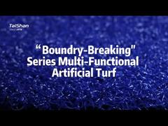 العشب الاصطناعي متعدد الوظائف من سلسلة Boundary-Breaking